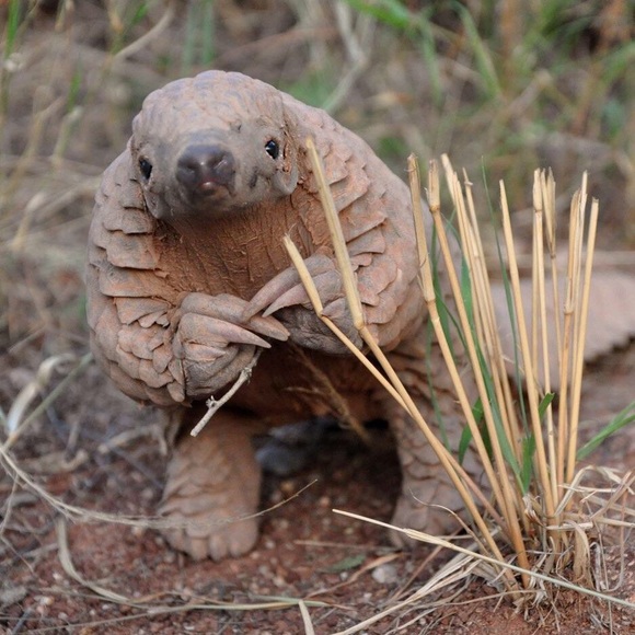 Meet your Posher, Robyn - Picture 8 of 8